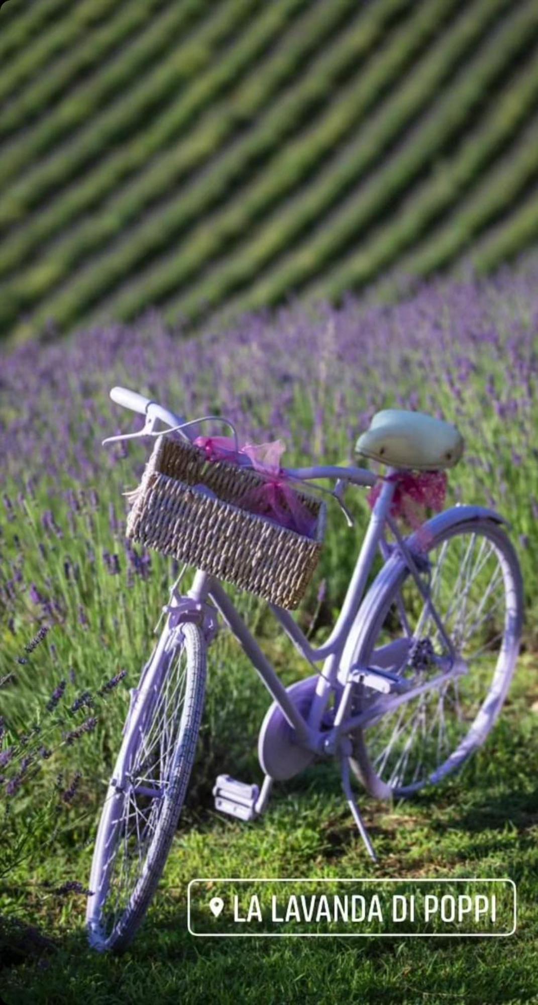 La Lavanda Di Poppi-Mini Appartamento Ngoại thất bức ảnh